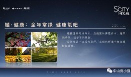 父母赔钱最新爆料案例分析,案情揭秘与法律解读